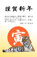 寅文字と座った虎の写真の年賀状