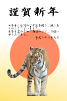 日の出と虎の写真の年賀状